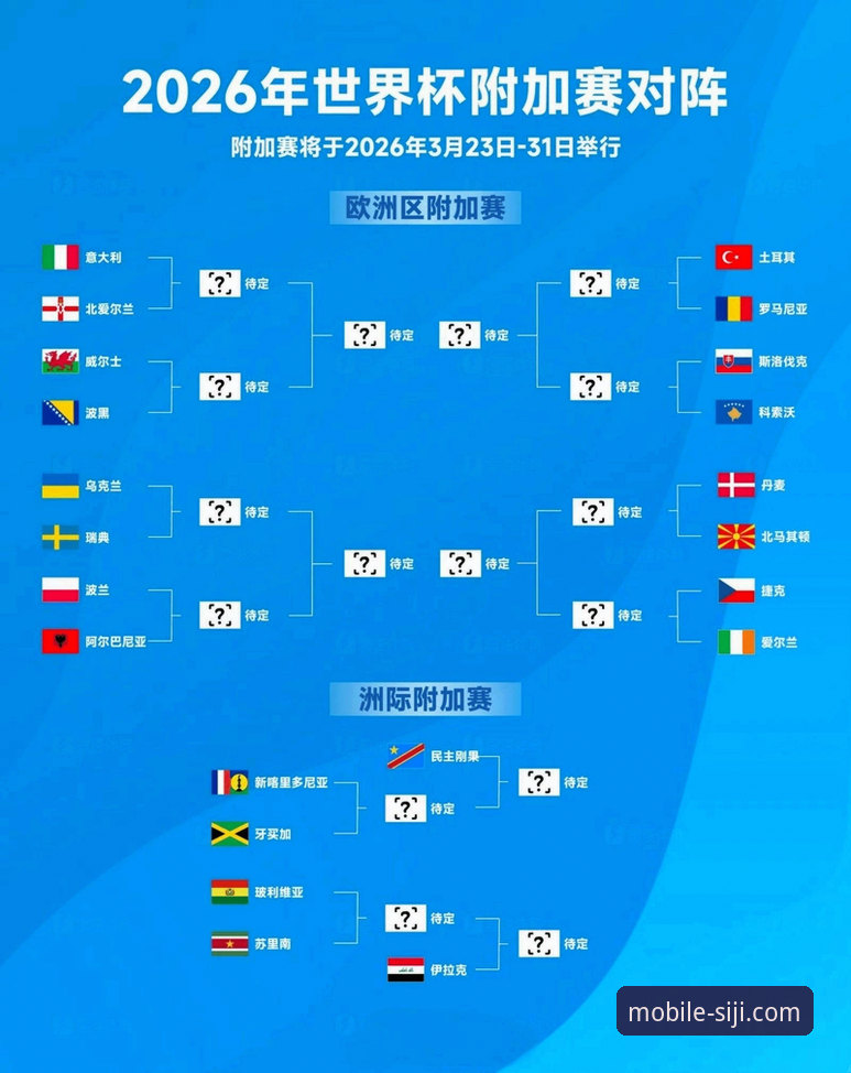 世界杯绝杀之夜：从民主刚果晋级之路看足球赛事实用观赛指南
